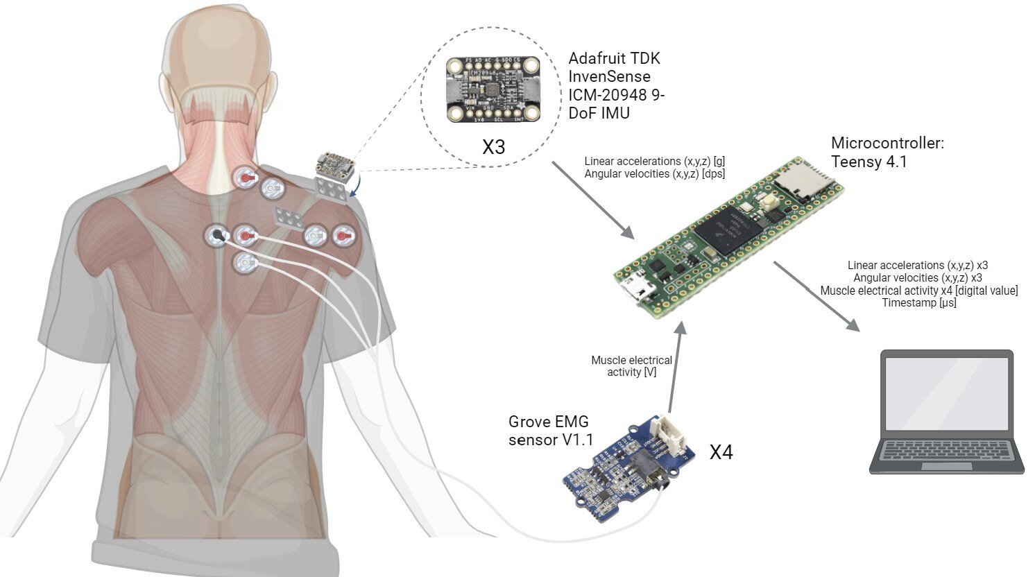 Neuromorphic Robotic Control Using EMG and IMU Integration