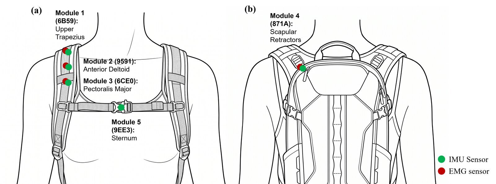 Shoulder-Girdle Command Signals for Supernumerary Limbs